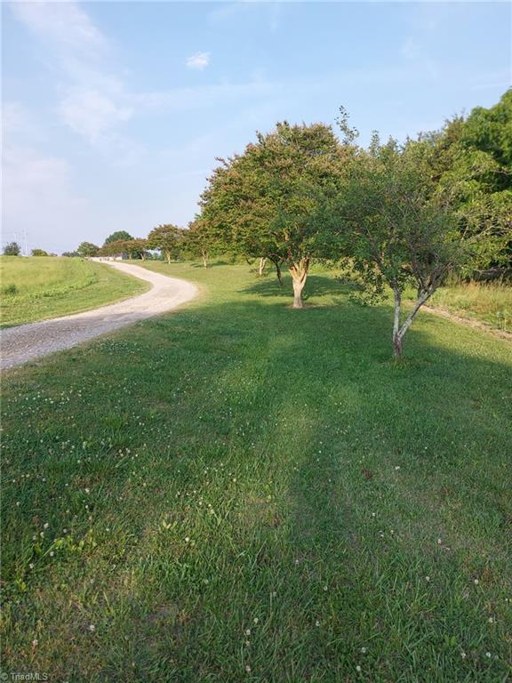 141 Old Thomas Farm Road Property Photo 6