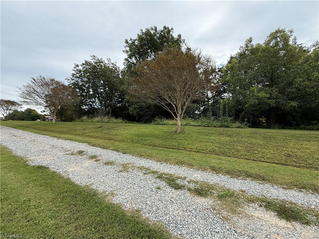 141 Old Thomas Farm Road Property Photo 11
