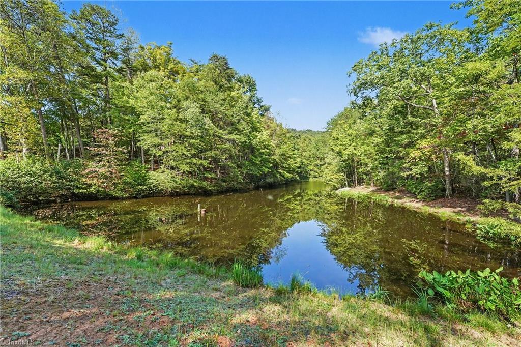 1100 Wolf Rock Road Property Photo 40