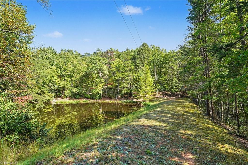 1100 Wolf Rock Road Property Photo 41