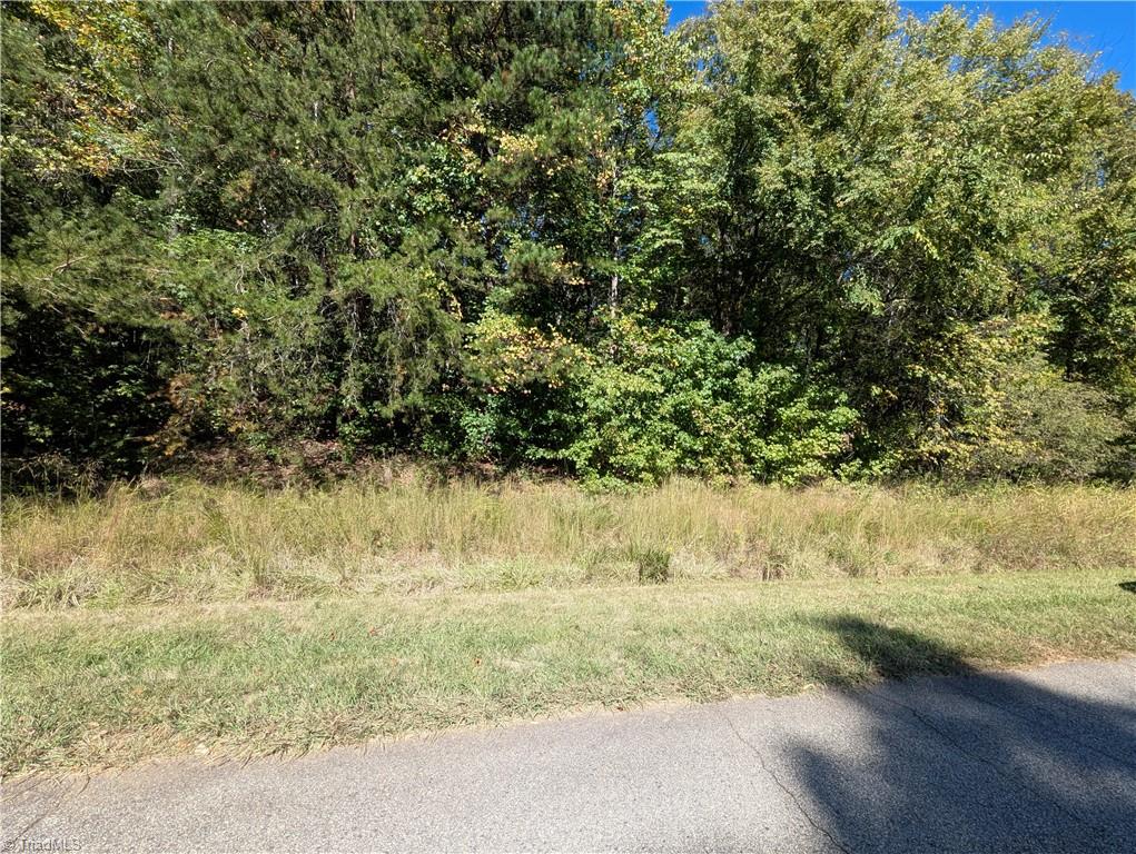 0 Lacey Court Property Photo 1