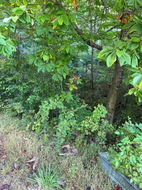 Tbd Fishers Peak View Property Photo 3