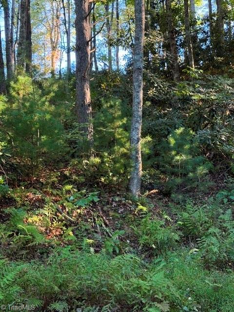 Tbd Fishers Peak View Property Photo 6