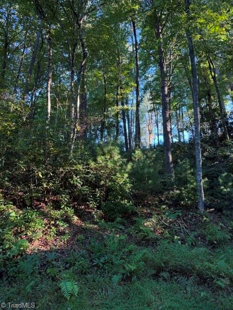 Tbd Fishers Peak View Property Photo 7
