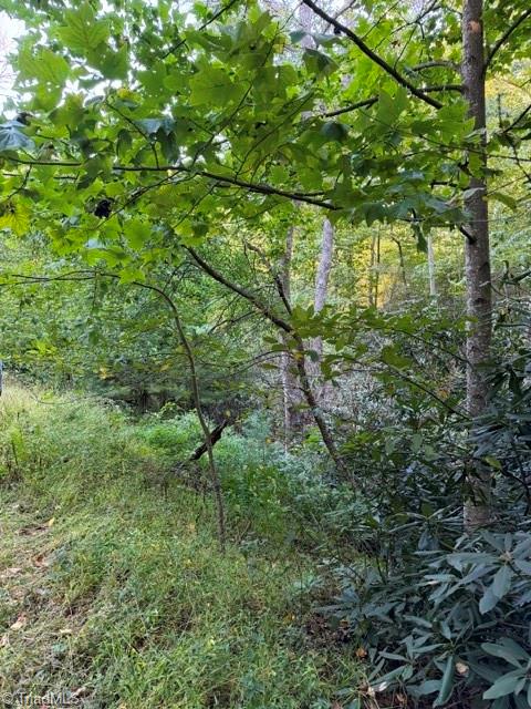 Tbd Fishers Peak View Property Photo 8