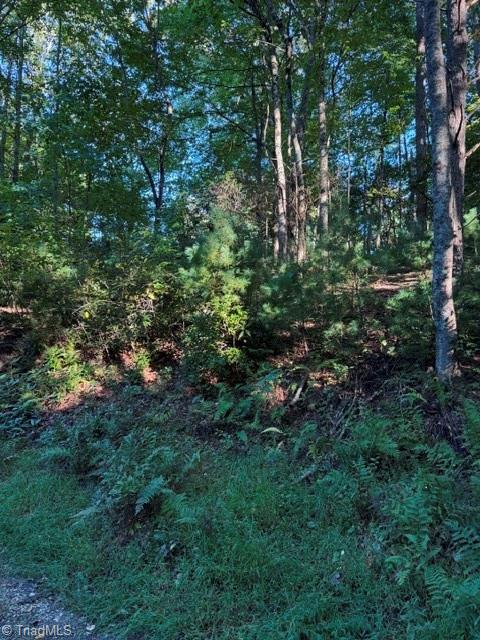 Tbd Fishers Peak View Property Photo 9