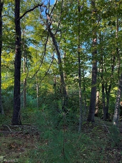 Tbd Fishers Peak View Property Photo 10