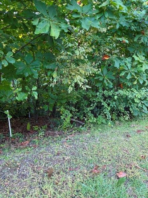 Tbd Fishers Peak View Property Photo 14