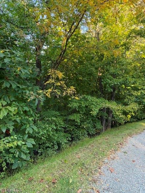 Tbd Fishers Peak View Property Photo 16