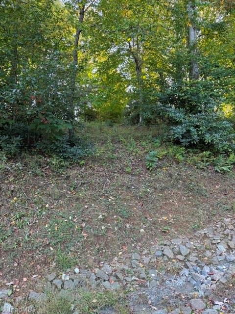 Tbd Fishers Peak View Property Photo 17