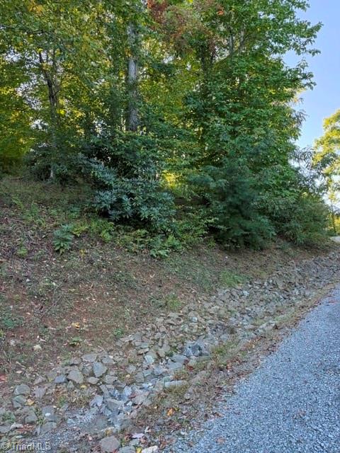 Tbd Fishers Peak View Property Photo 18