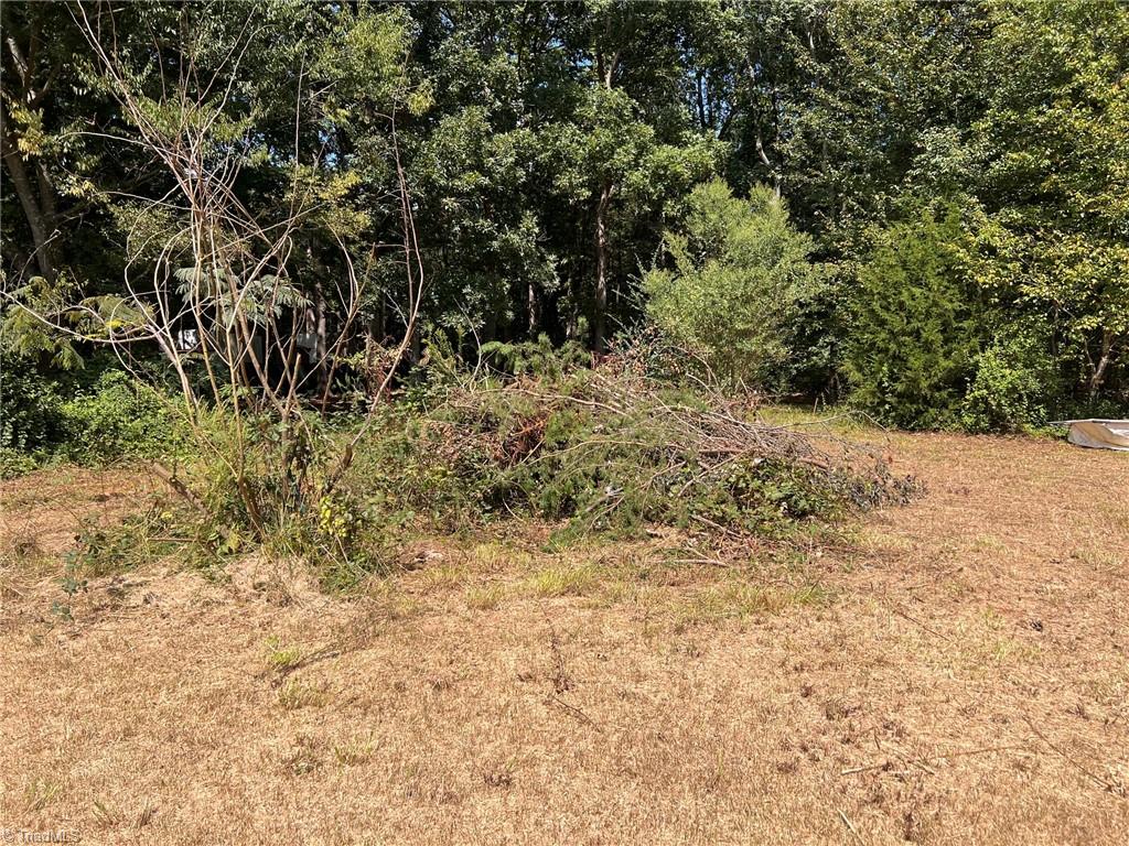 230 Squirrel Run Property Photo 17