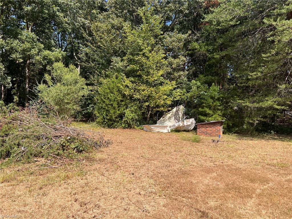 230 Squirrel Run Property Photo 18
