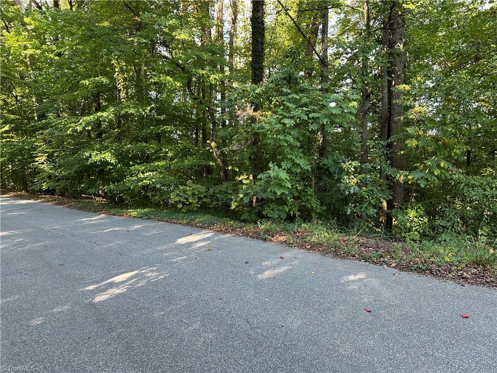 0 Pinebrook Lane Property Photo 1