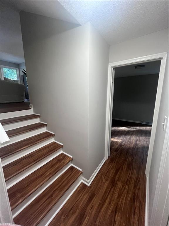 6536 Creek Run Road Property Photo 15