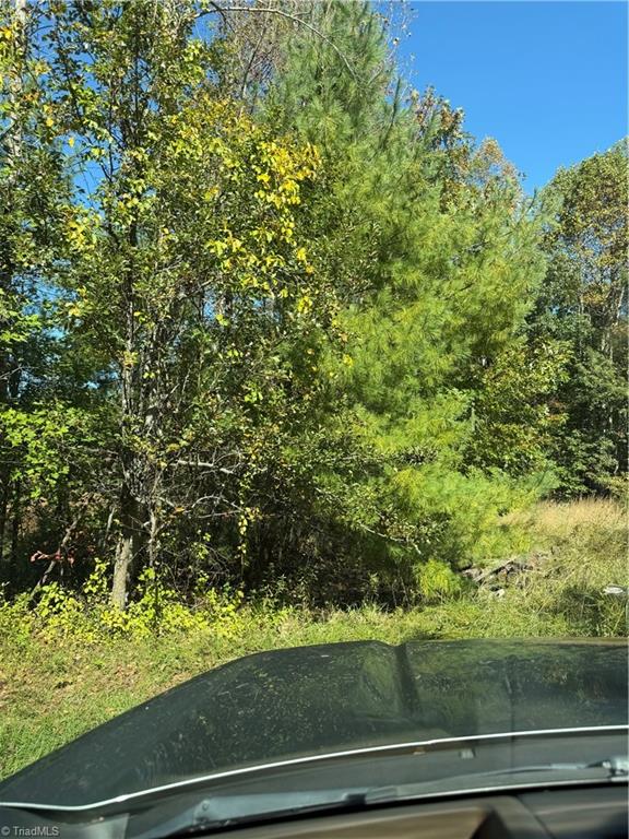 17.96 Acres Aubrey Thomas Lane