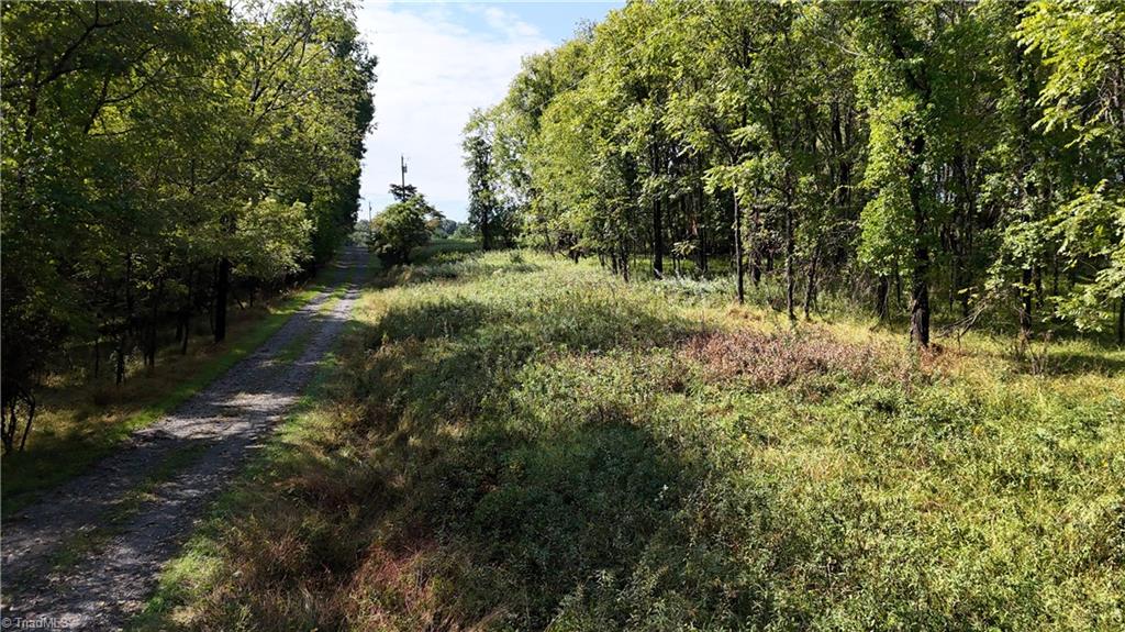 Lot 1 River Hill Road Property Photo 2