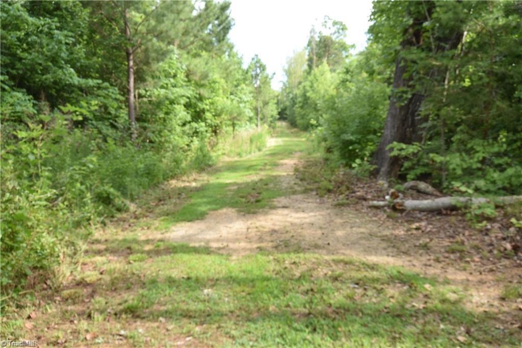 1034 Paschal Road Property Photo 2