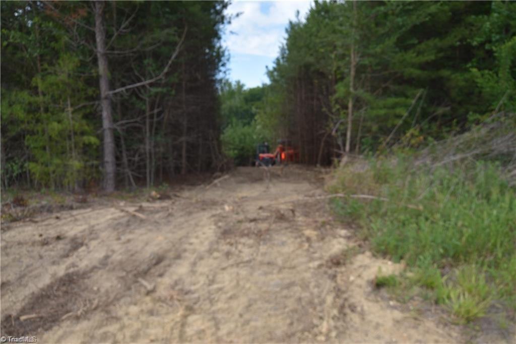 1034 Paschal Road Property Photo 3