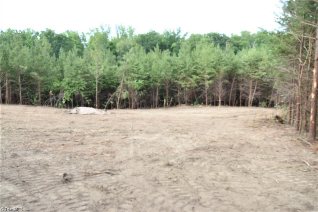 1034 Paschal Road Property Photo 4