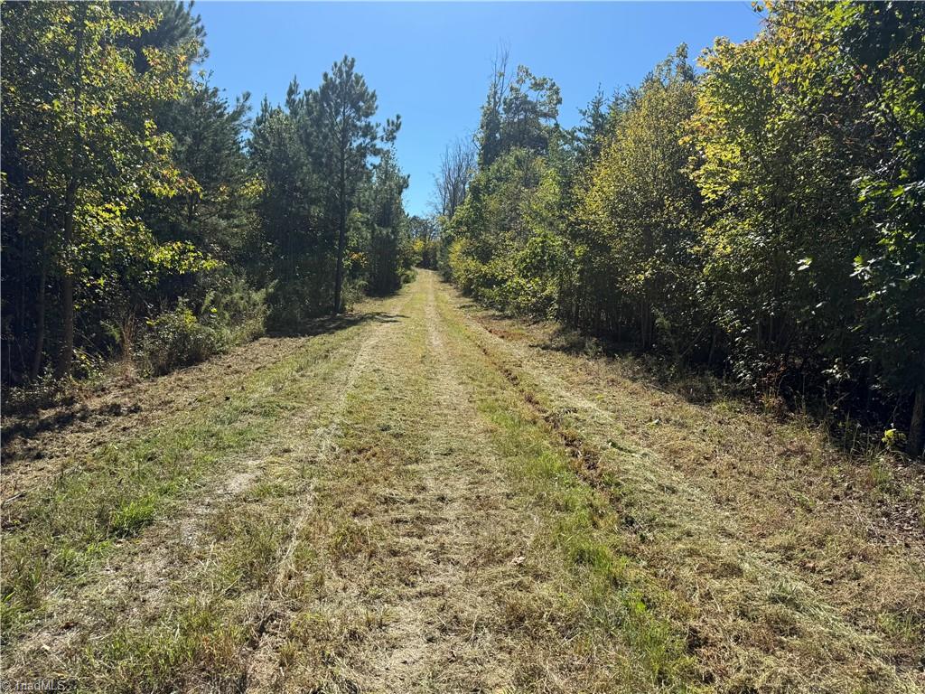 1034 Paschal Road Property Photo 5