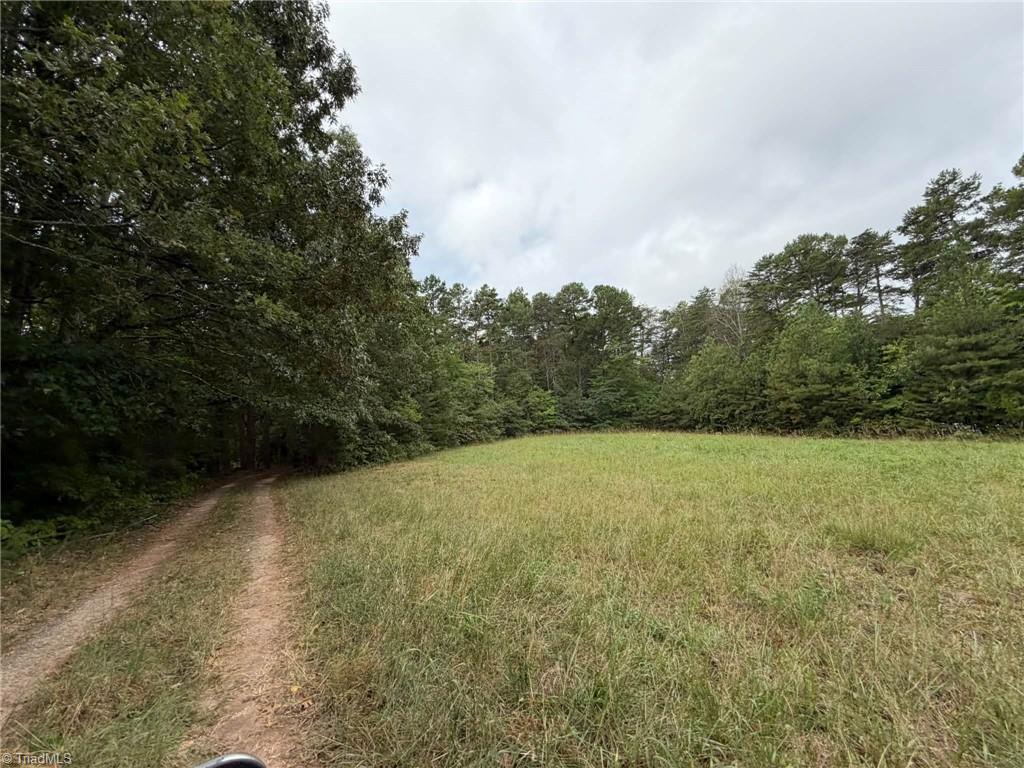 6700 Lot 2+/- Acres Doral Drive Property Photo 1