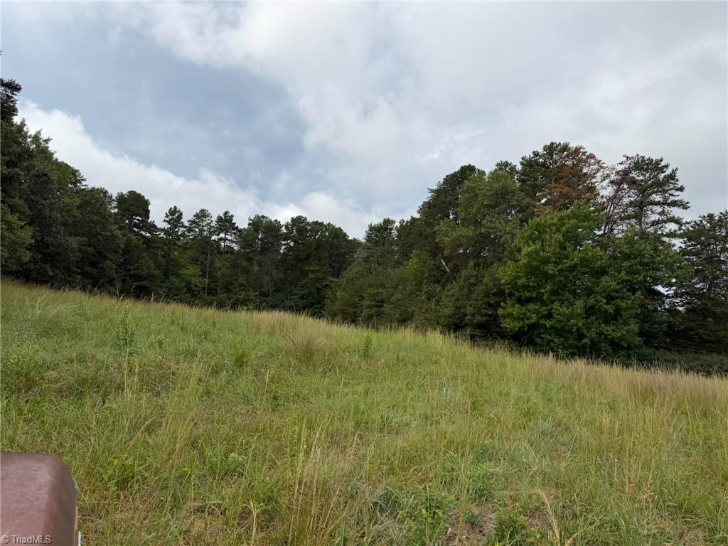 6700 Lot 2+/- Acres Doral Drive Property Photo 3