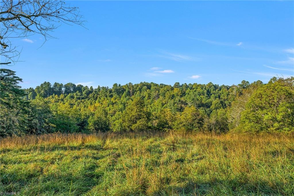 Off Ruritan Park Road Property Photo 6