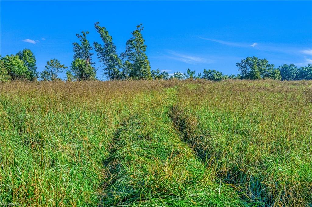 Off Ruritan Park Road Property Photo 15