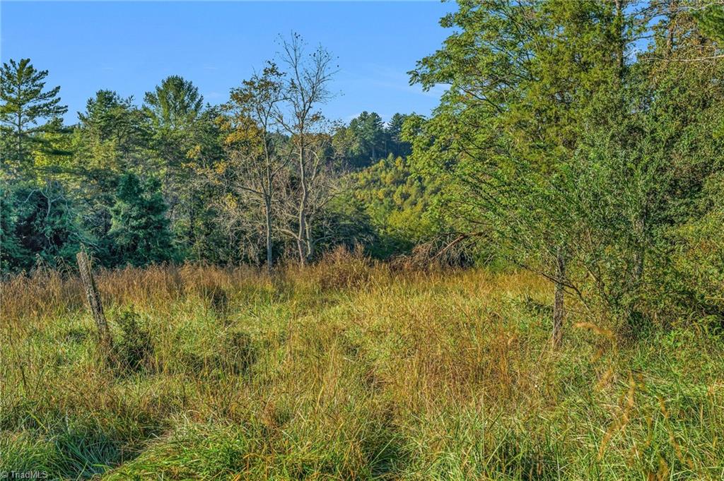 Off Ruritan Park Road Property Photo 16