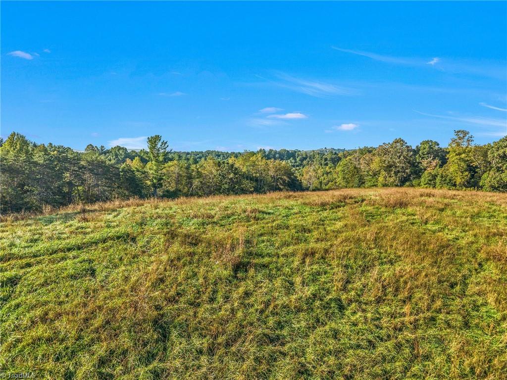 Off Ruritan Park Road Property Photo 17