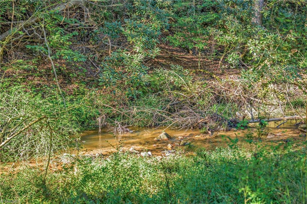 Off Ruritan Park Road Property Photo 24