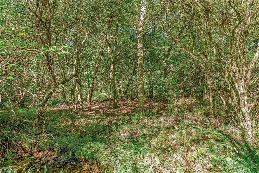 Off Ruritan Park Road Property Photo 25