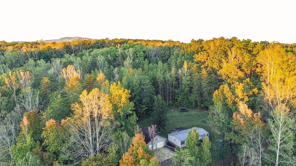 1060 Burch Tree Road Property Photo 25