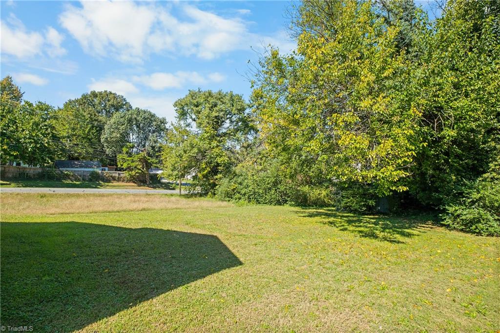 603 Efird Street Property Photo 20