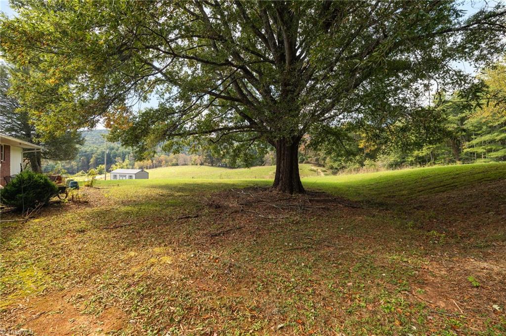 1465 Ramey Creek Road Property Photo 37