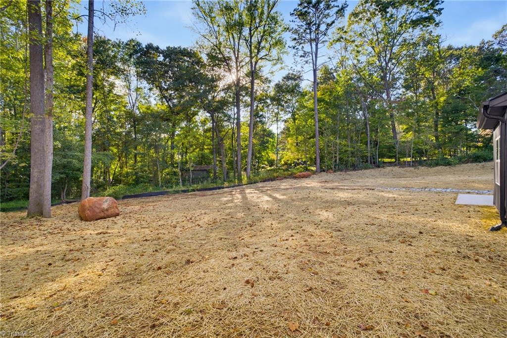 310 Lily Drive Property Photo 30
