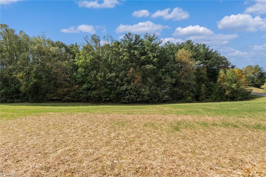 113 Stonecroft Road Property Photo 41