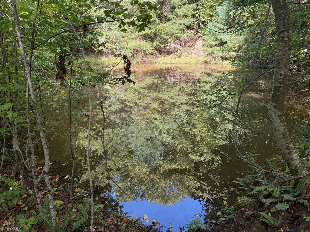 Tbd Casey Mountain Road Property Photo 1