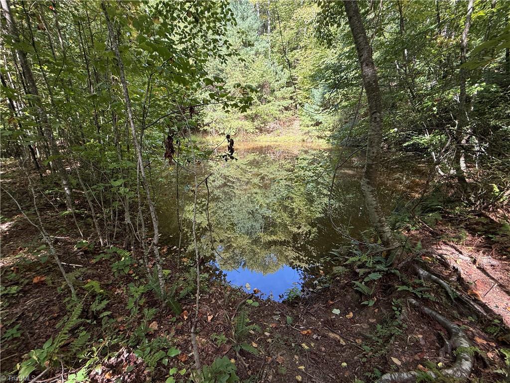 Tbd Casey Mountain Road Property Photo 2