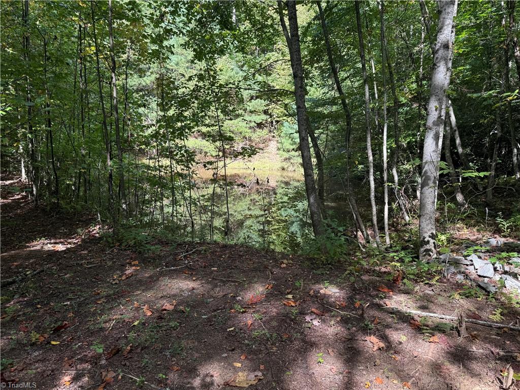 Tbd Casey Mountain Road Property Photo 3