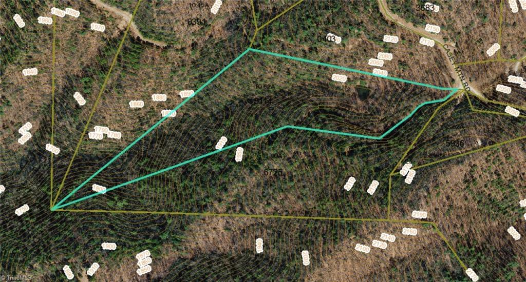 Tbd Casey Mountain Road Property Photo 5