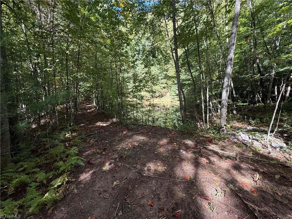 Tbd Casey Mountain Road Property Photo 6