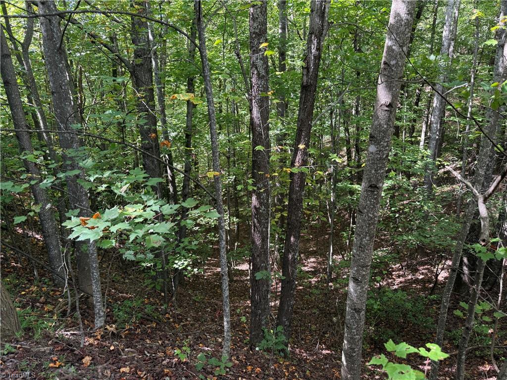 Tbd Casey Mountain Road Property Photo 7