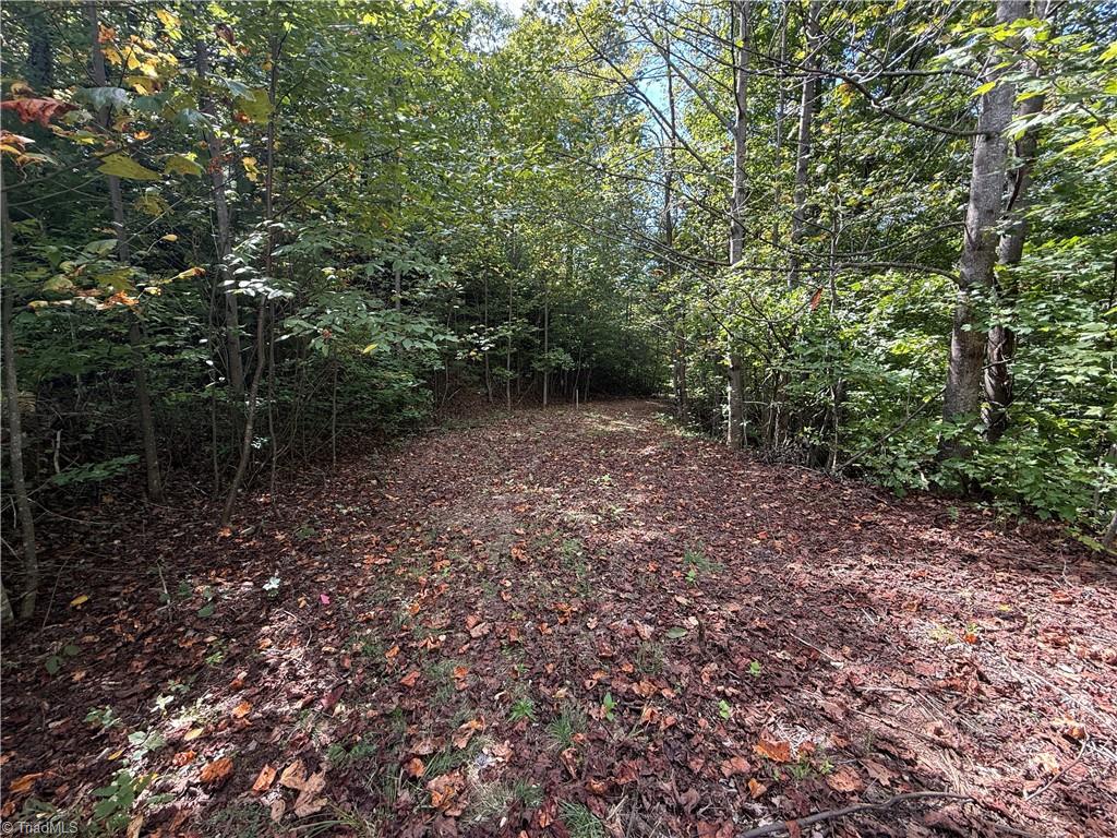 Tbd Casey Mountain Road Property Photo 8