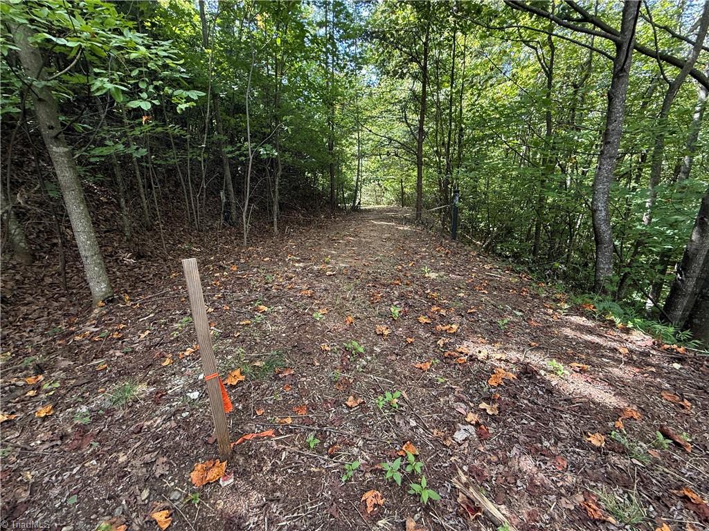 Tbd Casey Mountain Road Property Photo 9