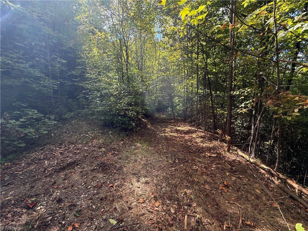 Tbd Casey Mountain Road Property Photo 10