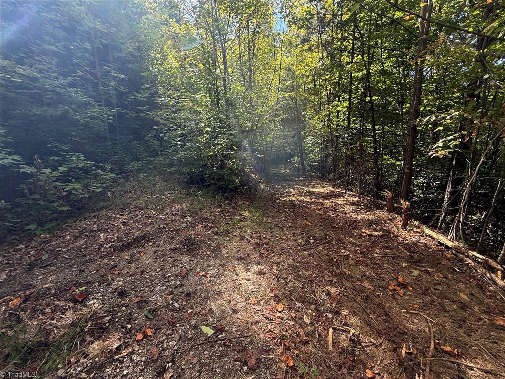 Tbd Casey Mountain Road Property Photo 11