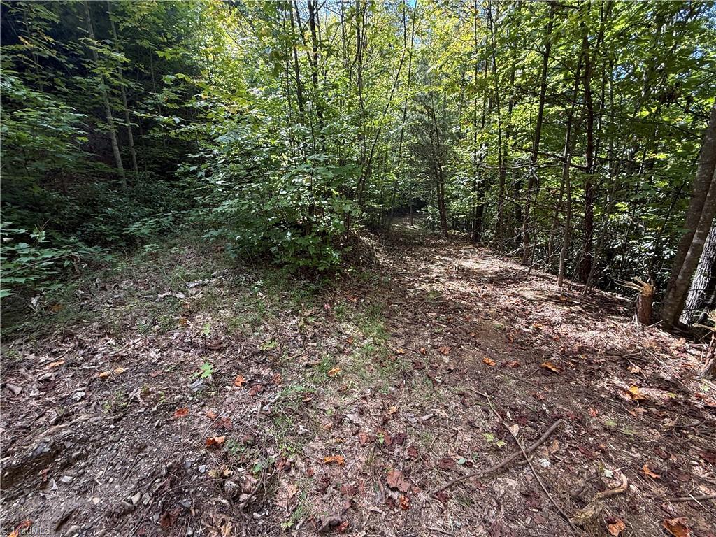 Tbd Casey Mountain Road Property Photo 12