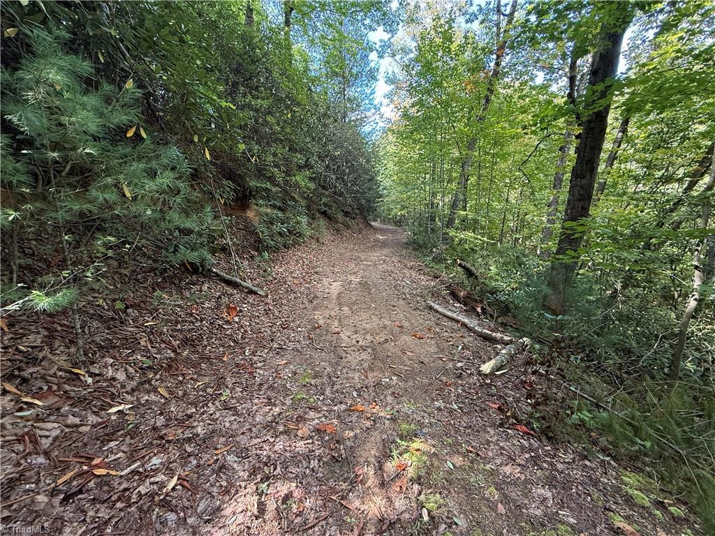Tbd Casey Mountain Road Property Photo 13